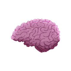 Hand Drawn Cartoon Brain Isolated on White Background. Vector