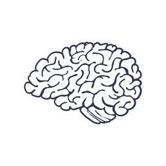 Hand Drawn Brain Isolated on White Background. Vector