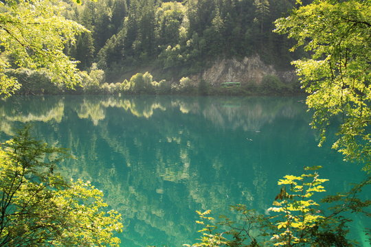 Fototapeta Tropical forest water lake. Landscape.