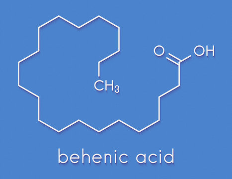 Behenic Acid (docosanoic Acid) Saturated Fatty Acid Molecule. Skeletal Formula.