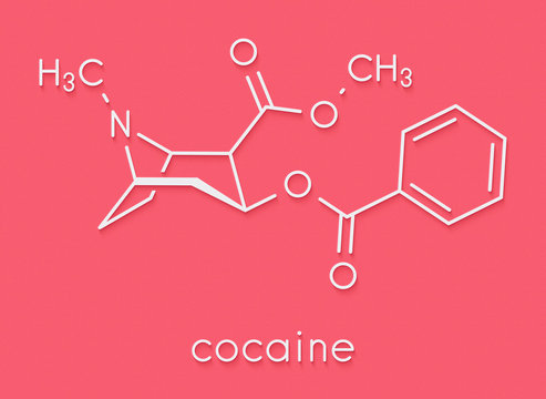 Cocaine stimulant drug molecule. Used as salt or as free base (crack, freebase). Skeletal formula.