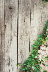 wooden background with grass and flowers in the corner