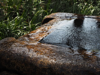 あふれ出る湧き水