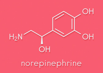 Norepinephrine (noradrenaline, norepi) hormone and neurotransmitter molecule. Skeletal formula.