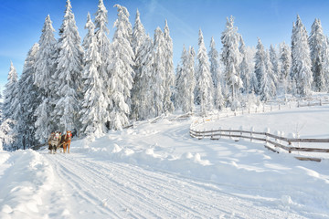 Winter in Transylvania