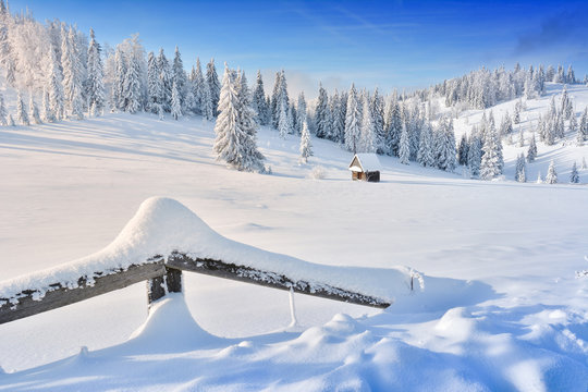 Winter In Transylvania