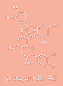 Proanthocyanidin A2 (procyanidin A2, PAC A2) molecule. Present in cranberry (juice) and a number of other plants. Used in urinary tract infarction prevention. Skeletal formula.