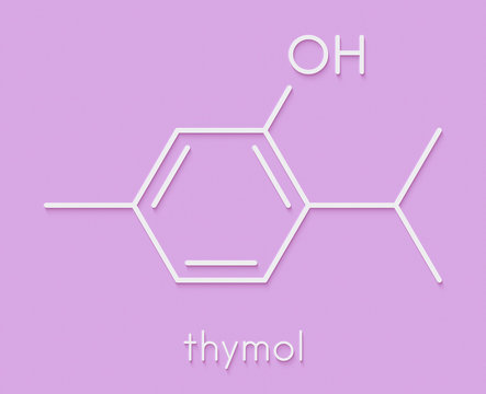 Thymol oil of thyme molecule. Present in kitchen herb Thymus vulgaris. Has antiseptic and preservative properties. Skeletal formula.