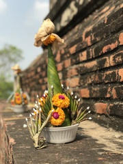 Flower offering at Wat Yai Chai Mongkhon
