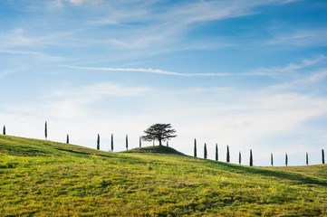 Obraz premium Tuscan countryside landscape and sky scenic view, Tuscany, Italy