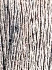 Old wood texture , design line surface of wooden floor