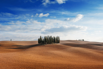 Obraz premium Rolling hills, small cypress trees forest and blue sky with clouds in tuscan landscape countryside panoramic view in an autumn day - Tuscany, Italy