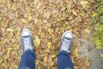 Walking on a street in the fall, and many autumn yellow leaves.