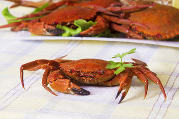 seafood, crabs with lettuce and lemon