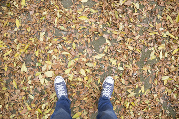 Obraz premium Walking on a street in the fall, and many autumn yellow leaves.