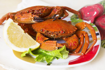 seafood, crabs with lettuce and lemon