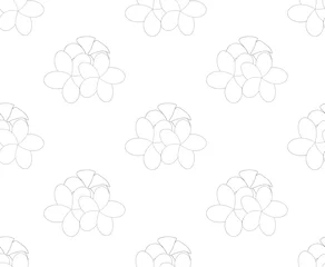 Deurstickers Plumeria, Frangipani Seamless on White Background © asamask92