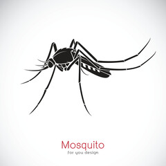 Vector of a Mosquito design on white background. Insect. Animal.