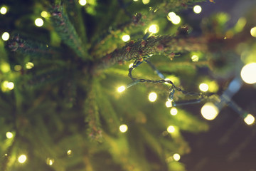 Lights and Christmas tree