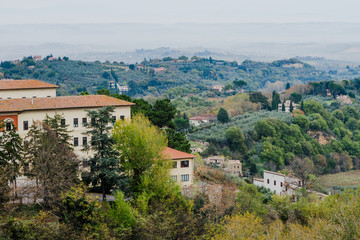 Fototapeta na wymiar Tuscan landscape with trees, houses and green hills in Tuscany, Italy