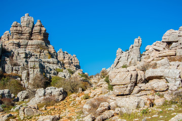 Fototapeta na wymiar Panoramic aerial top view of mountains stones of El Torcal natural park,a lot of trees and wild goat greezing near the path on sunny winter day, Malaga province, Andalusia, Spain.