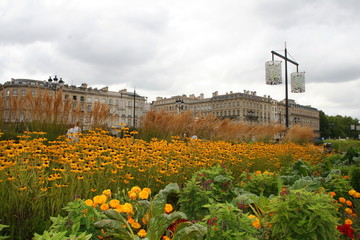 Bordeaux