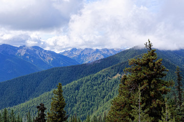 View from the Deer Park area in Olympic National Park