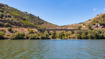 Vallée du Douro vignes vignoble Porto Portugal