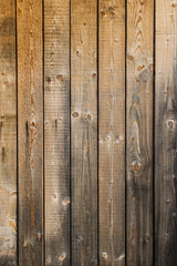 Fototapeta premium Wood texture