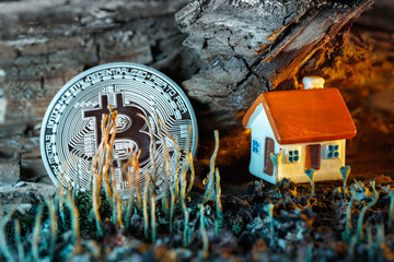 Coin bitcoin and a toy house in the fairy world