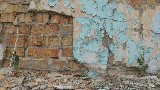 Brick wall with crumbling plaster on old building
