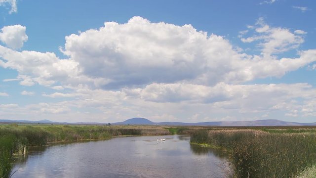 Marsh