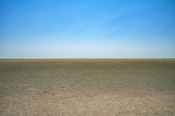 Etosha national park pan
