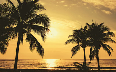Fototapeta na wymiar palm trees sunset beach