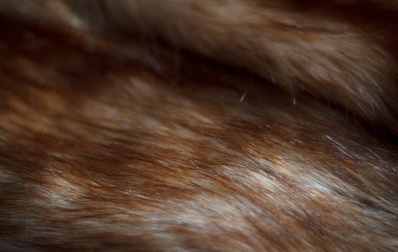 Faux fox fur - closeup