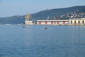 mare