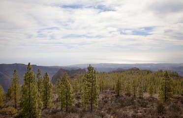 Inland Gran Canaria