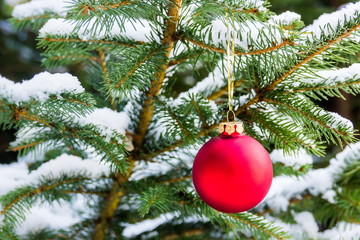 Red Christmas ball on Christmas tree.