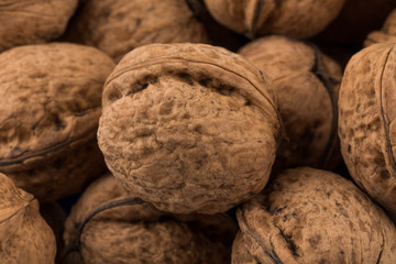 Walnut nut closeup