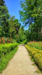 Obraz premium Path to Paradise