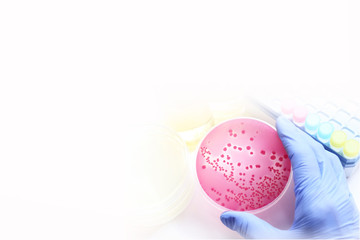 研究イメージ　微生物の鑑別