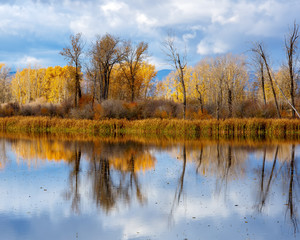 Fall trees color reflection in pond in the Flathead Valley, Montana