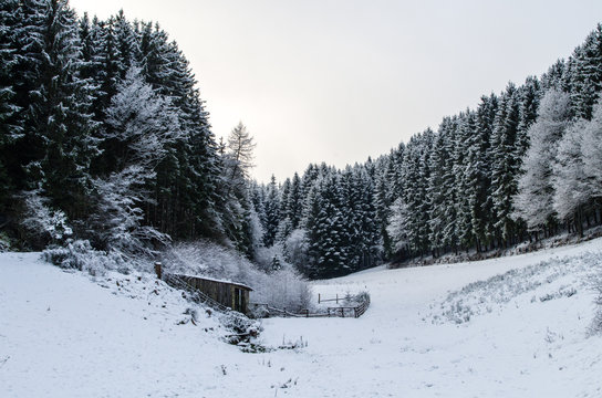 Winter landscape in the surroundings of Hellenthal, Germany.
