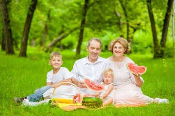 Happy family picnic. Grandparents  having a picnic in nature with grandchildren