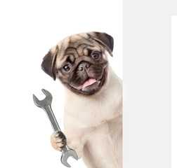 Funny pug puppy worker with wrench behind white banner. Isolated on white background
