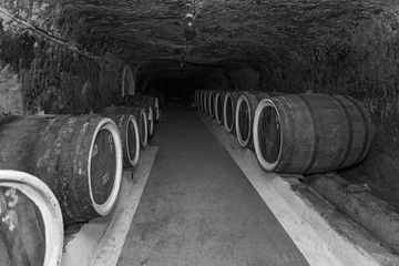 An old wine cellar with oak barrels,barrels for wine in old cellars