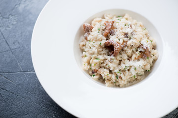 Closeup of a white plate with mushroom risotto, elevated view, horizontal shot
