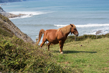 Spanien - Baskenland - Zumaia - Playa De Sakoneta