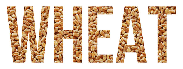 wheat