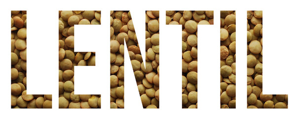 lentil